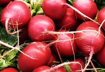 Редис 