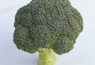 Капуста брокколи 