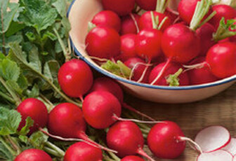 Редис 