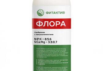 Фитактив Флора