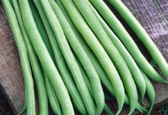 Фасоль спаржевая 