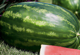 Арбуз 