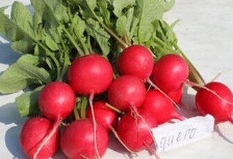 Редис 