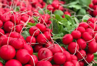 Редис 