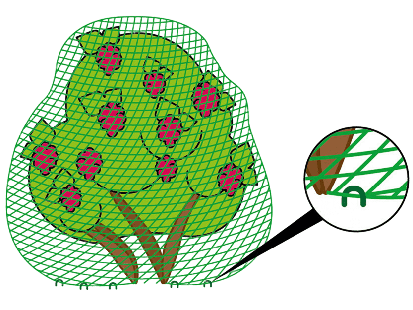 Сетка для птиц